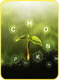 image showing minerals